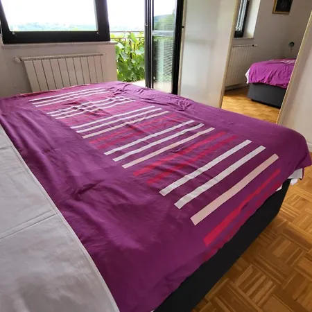 Moni Apartman *
